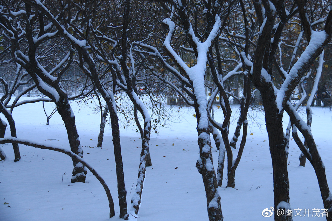 还没有来得及准备,就雨雪交加了