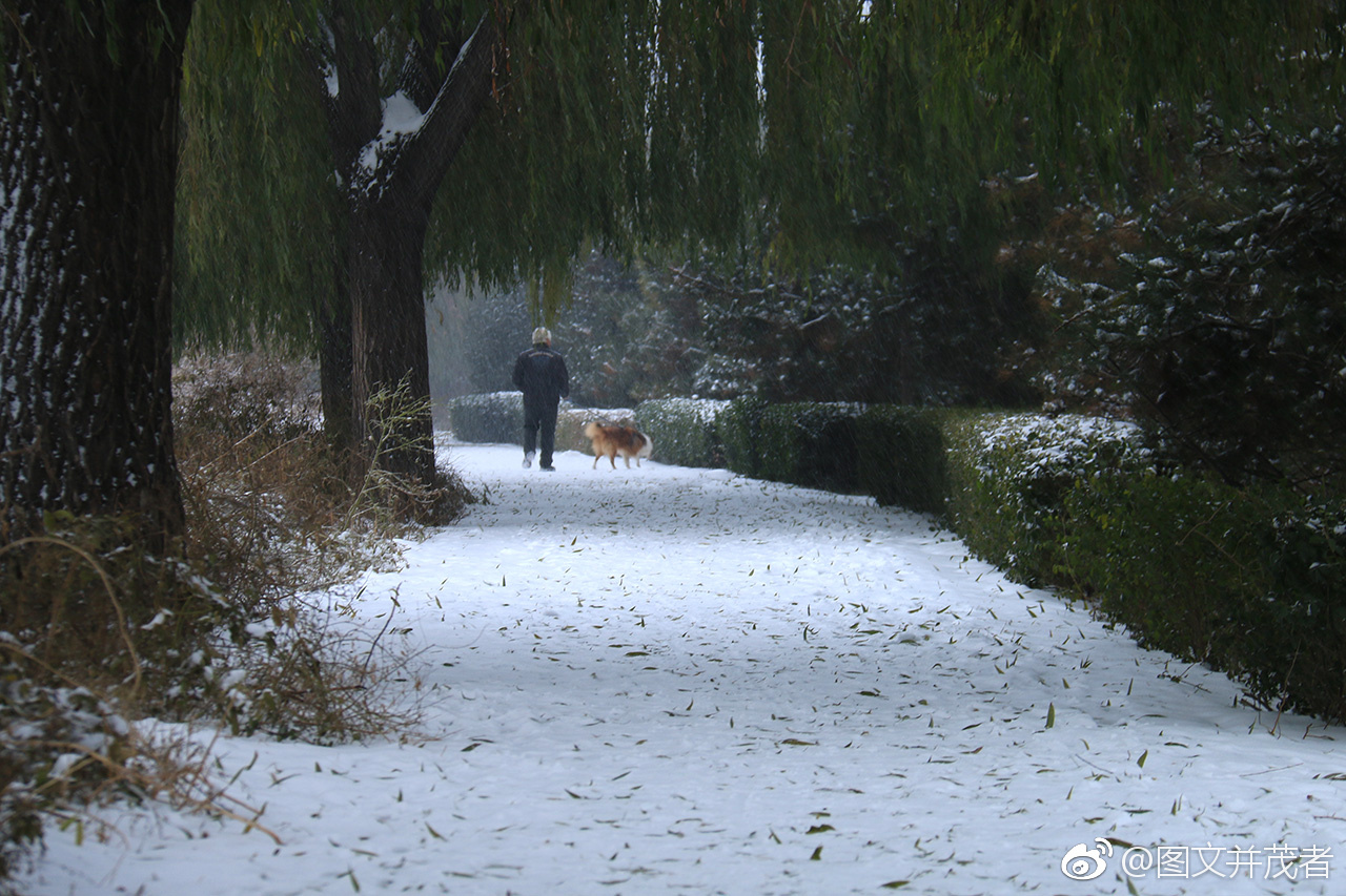 还没有来得及准备,就雨雪交加了