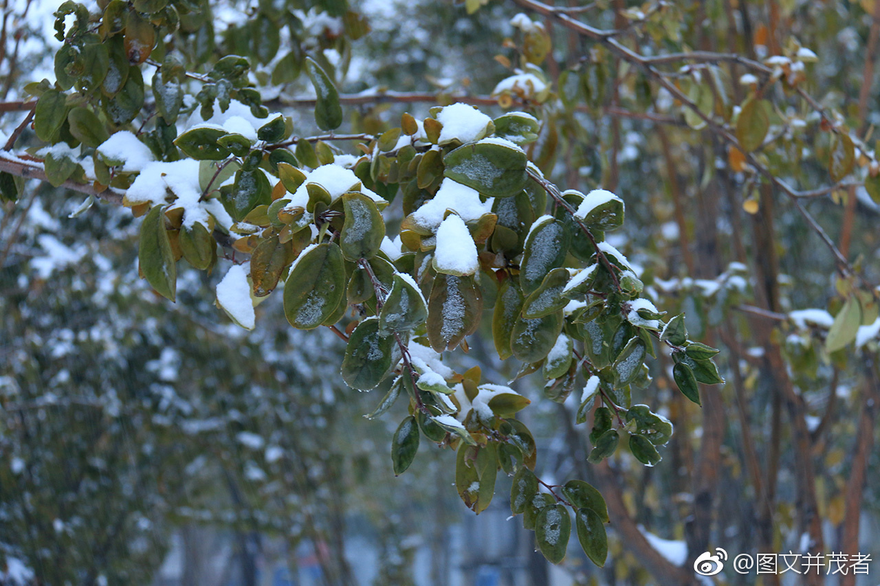 还没有来得及准备,就雨雪交加了