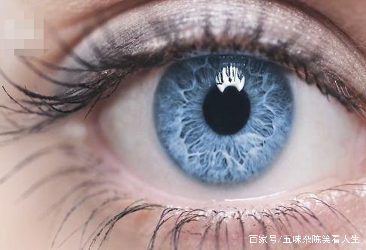 心理测试:选一只眼瞳,测你校园中隐藏多少吸血鬼?我校521只!|吸血鬼|