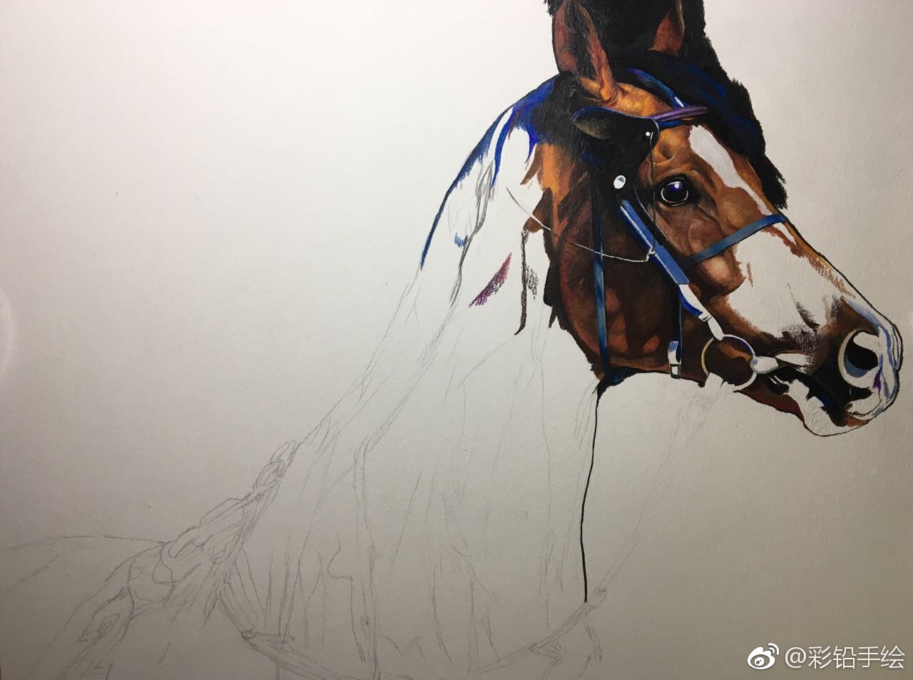 彩铅手绘——马 工具:三福霹雳马彩铅 梦法儿水彩纸 投稿( )