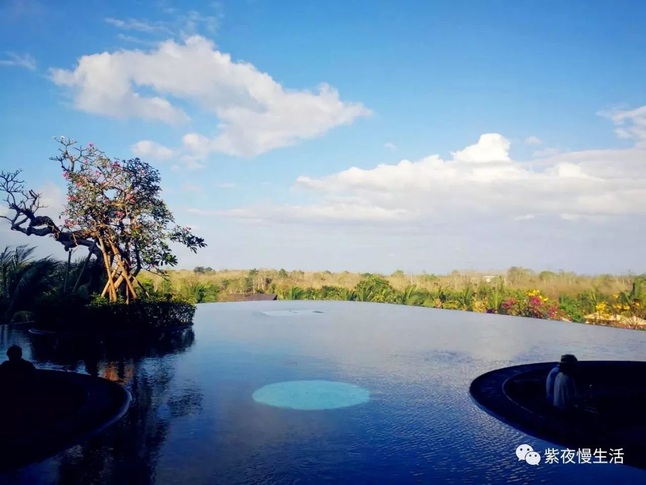酒店服务前台:效率不高,但是正好享受鸡蛋花花环,欢迎饮料,以及管家的