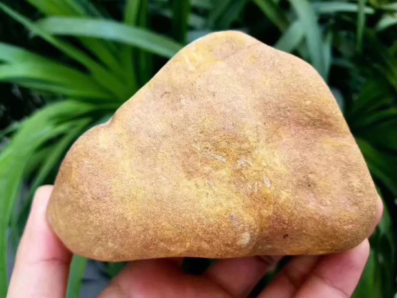 公司月底亏本1000元卖出的原石,却意外开出了6块极品俏色彩牌!