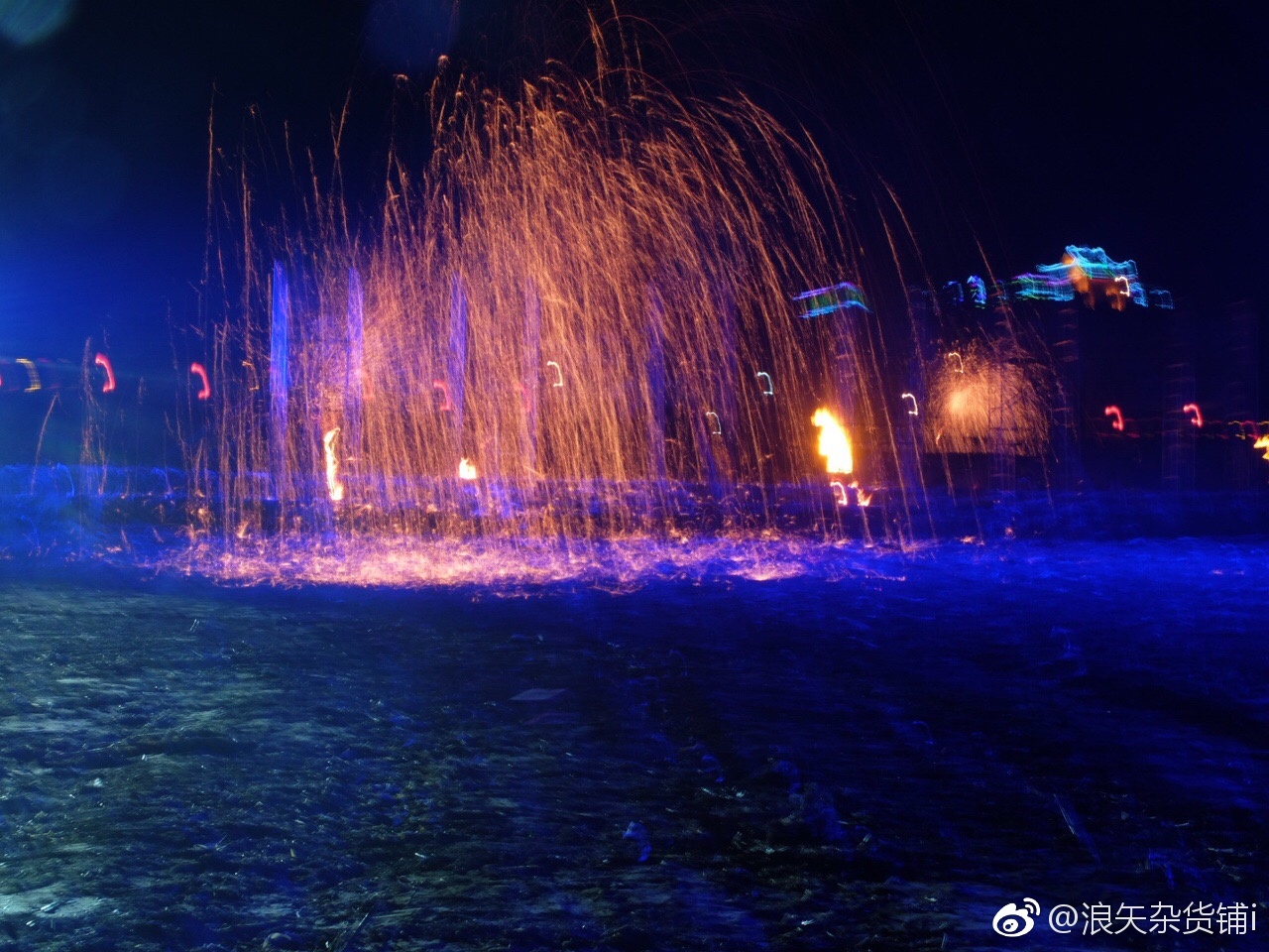 铁树梨花耀荫城