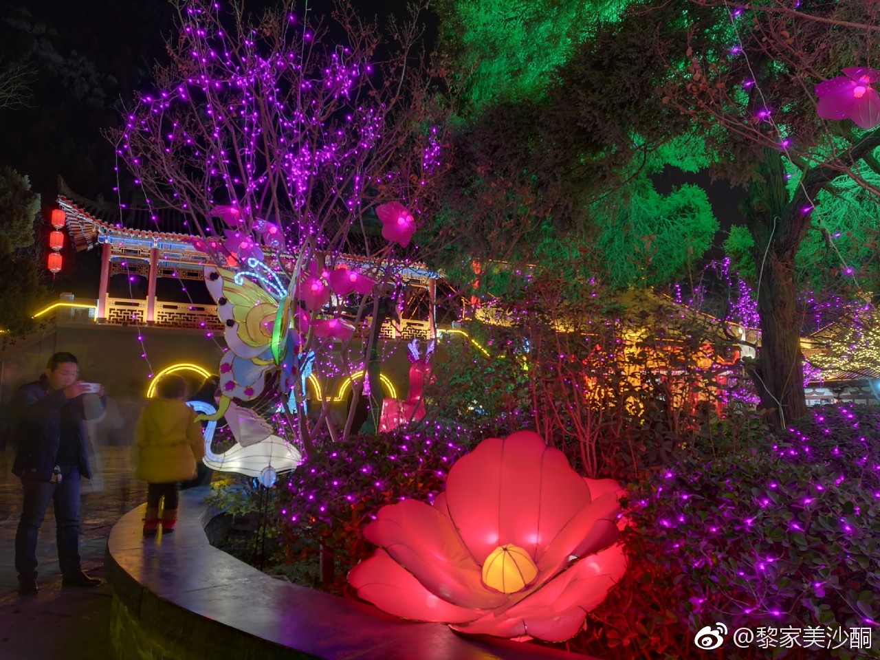 华清宫里花千树