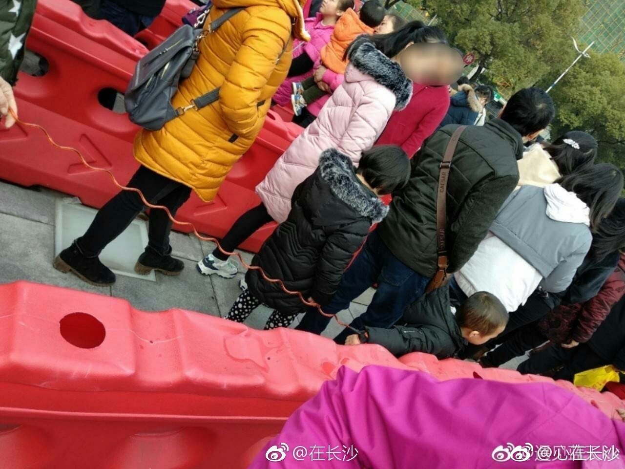 网爆新一种插队方式:小孩开道[允悲]