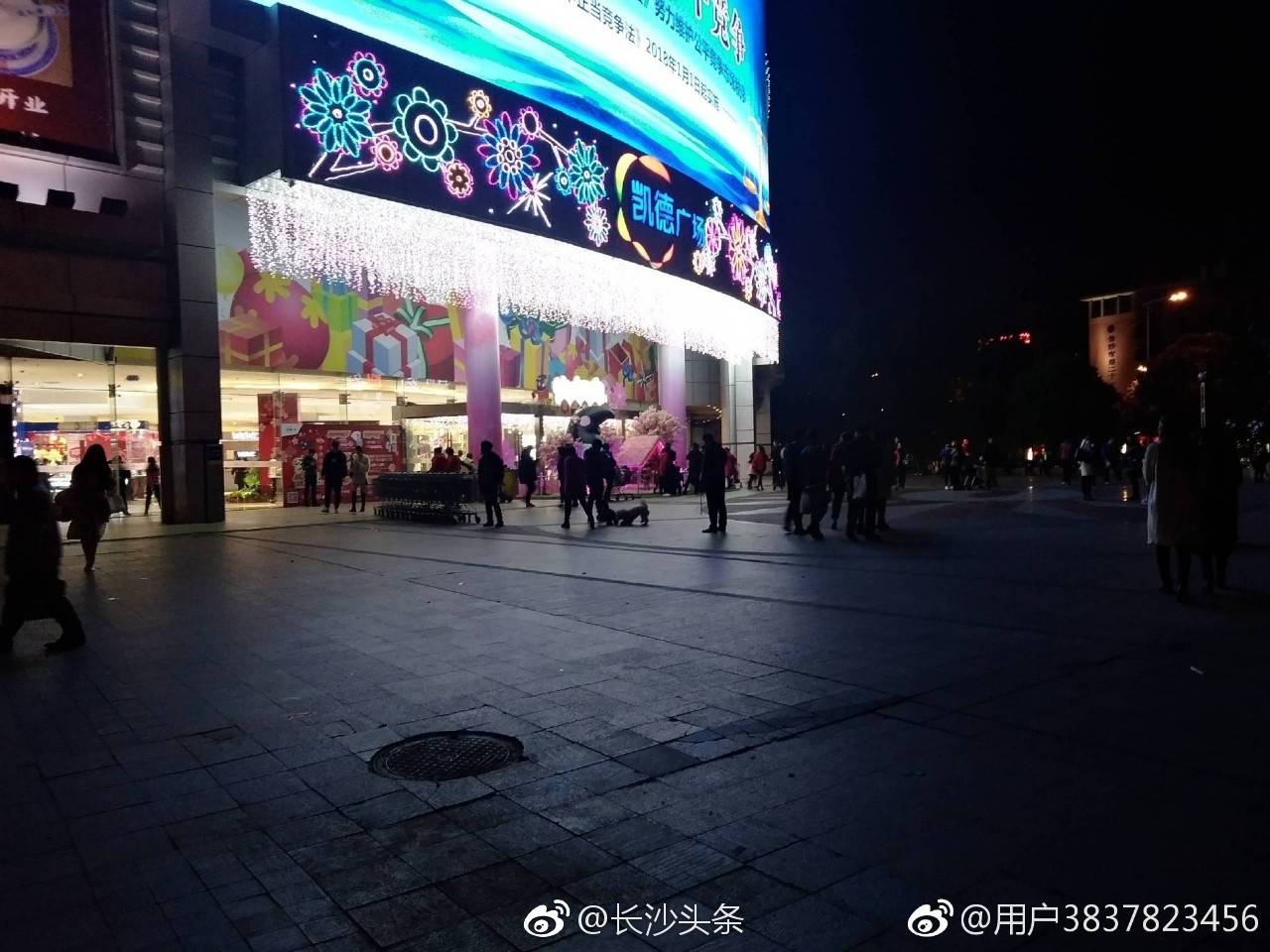 网曝长沙雨花亭凯德广场成了遛狗广场[二哈]