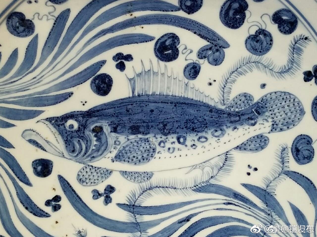 陶瓷知识丨大英收藏的一件元青花鱼藻纹大盘
