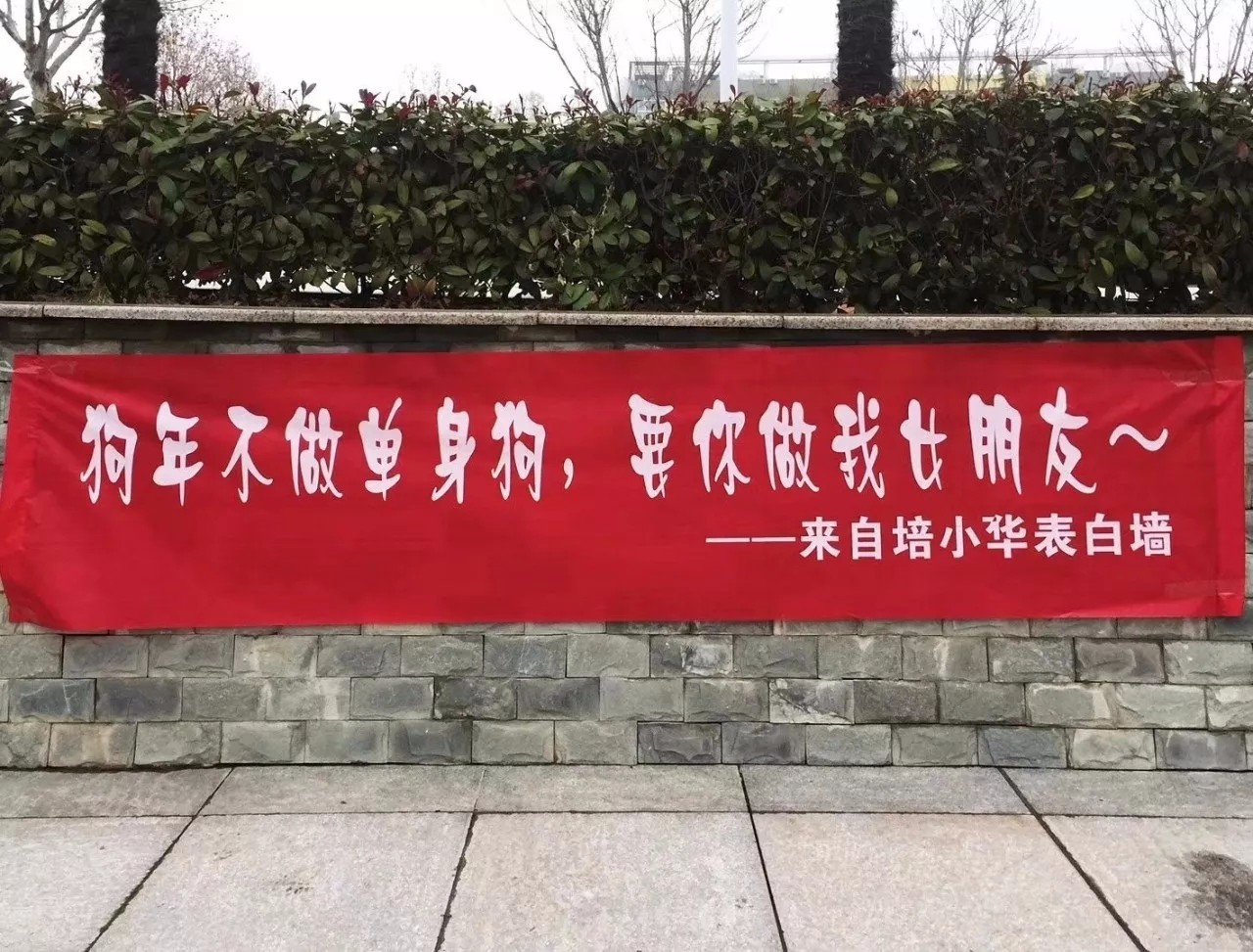 在"女生节"来临之际,你觉得那条横幅最有创意呢?