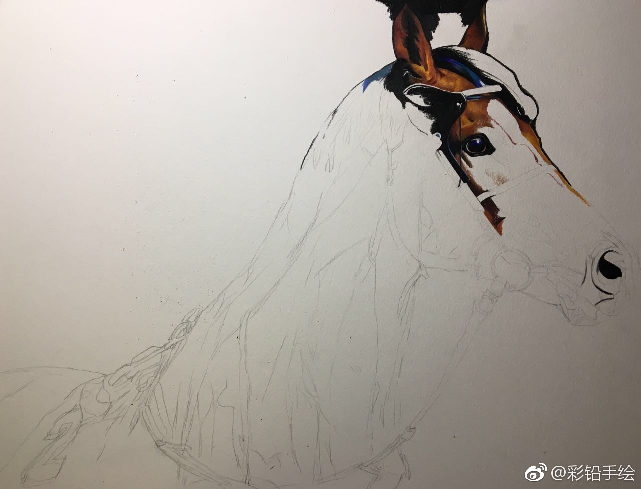 彩铅手绘——马 工具:三福霹雳马彩铅 梦法儿水彩纸 投稿( )
