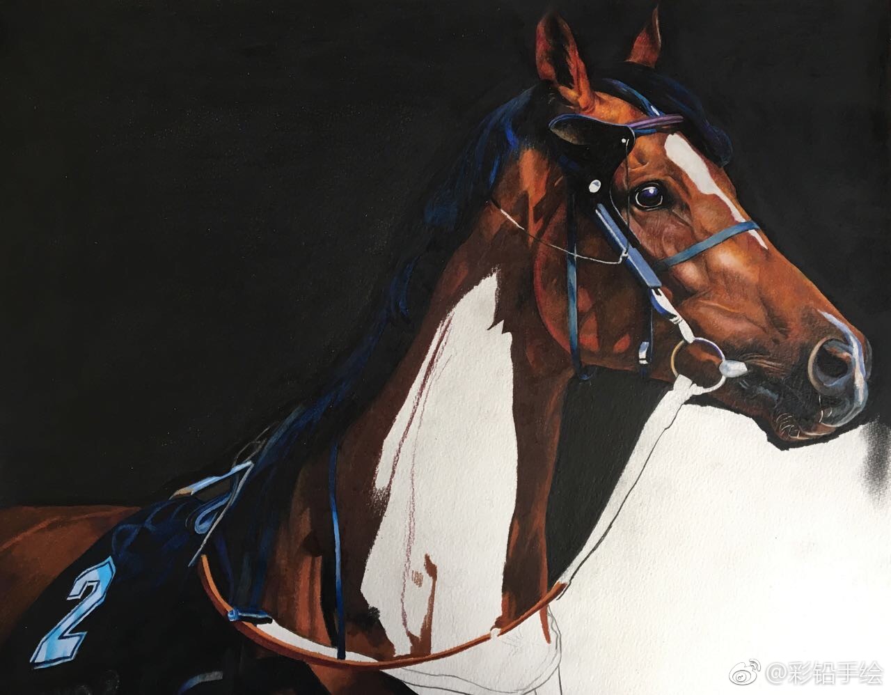 彩铅手绘——马 工具:三福霹雳马彩铅 梦法儿水彩纸 投稿( )