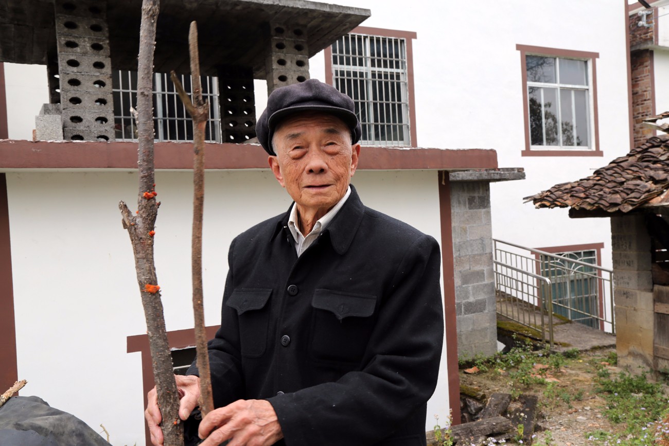 90岁老人的长寿秘诀:天天喝茶喝酒做劳动