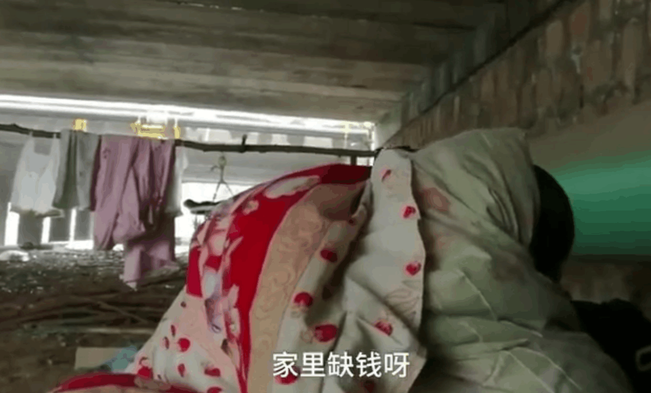 小伙子暴雪天裹棉被睡桥底, 被问及原因时, 他的回答感动一片网友
