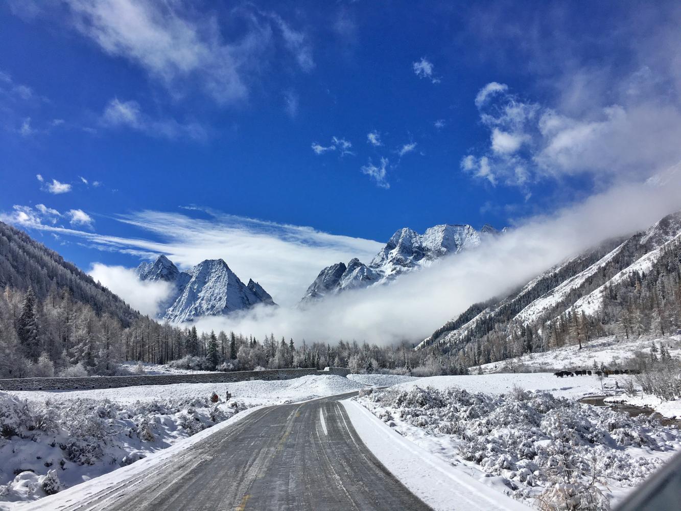 季节,运气好的话,还可以一睹四姑娘山的全貌,四座巍峨的雪山雄峻挺拔