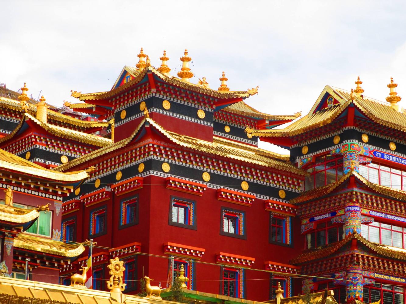 这里的很多僧侣是不愿意被别人拍照的,因此,不要过多的去打扰寺院的