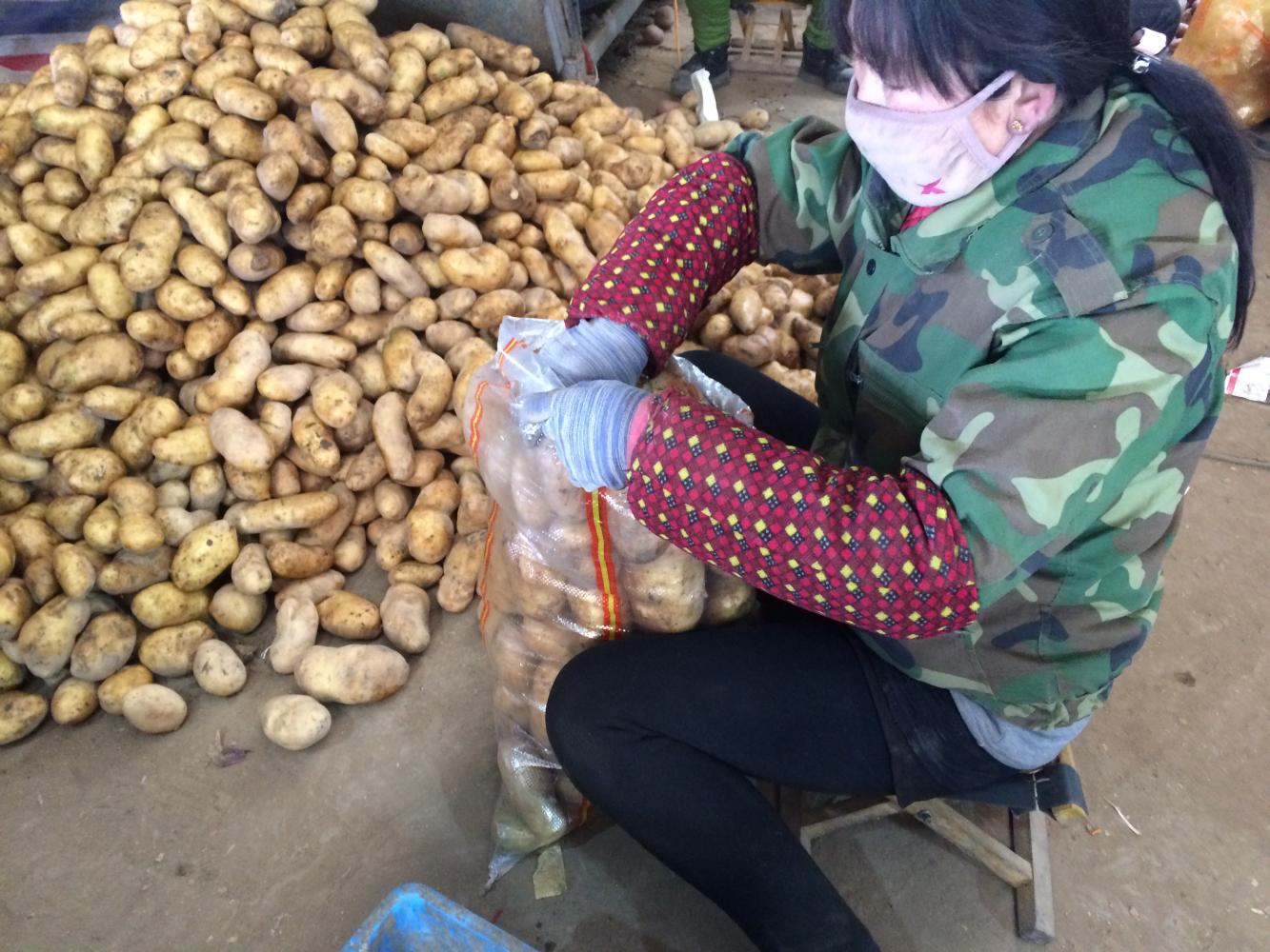 西安欣桥市场这家的土豆 一天卖20多吨!