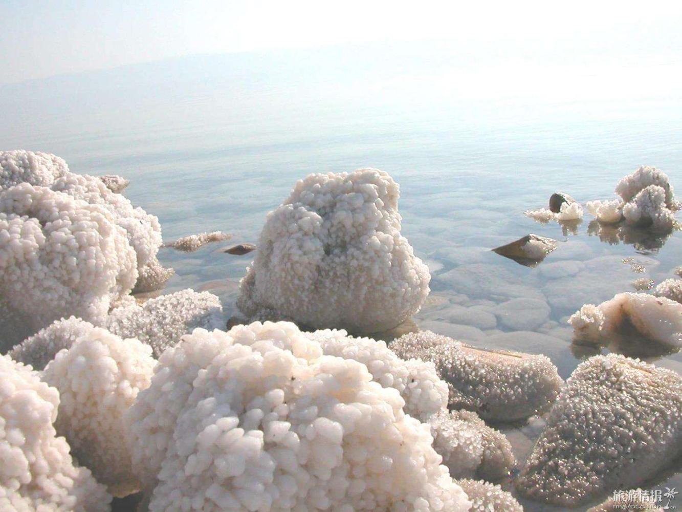 6倍,致使水中没有生物存活,甚至连死海沿岸的陆地上也很少有除水草