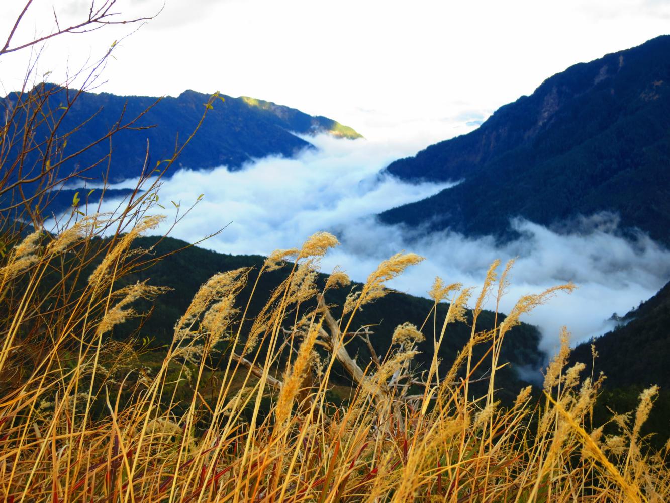台湾合欢山, 山势壮硕威武, 山蓉秀丽多姿