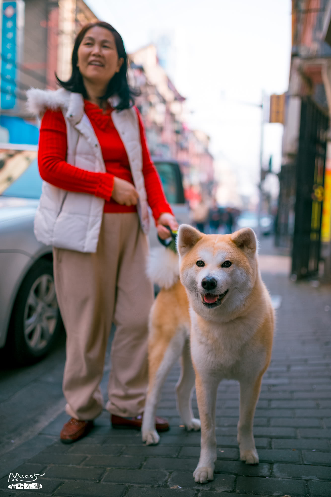 路上偶遇表情包"doge"狗,看主人拿出肉条后,两眼放光!