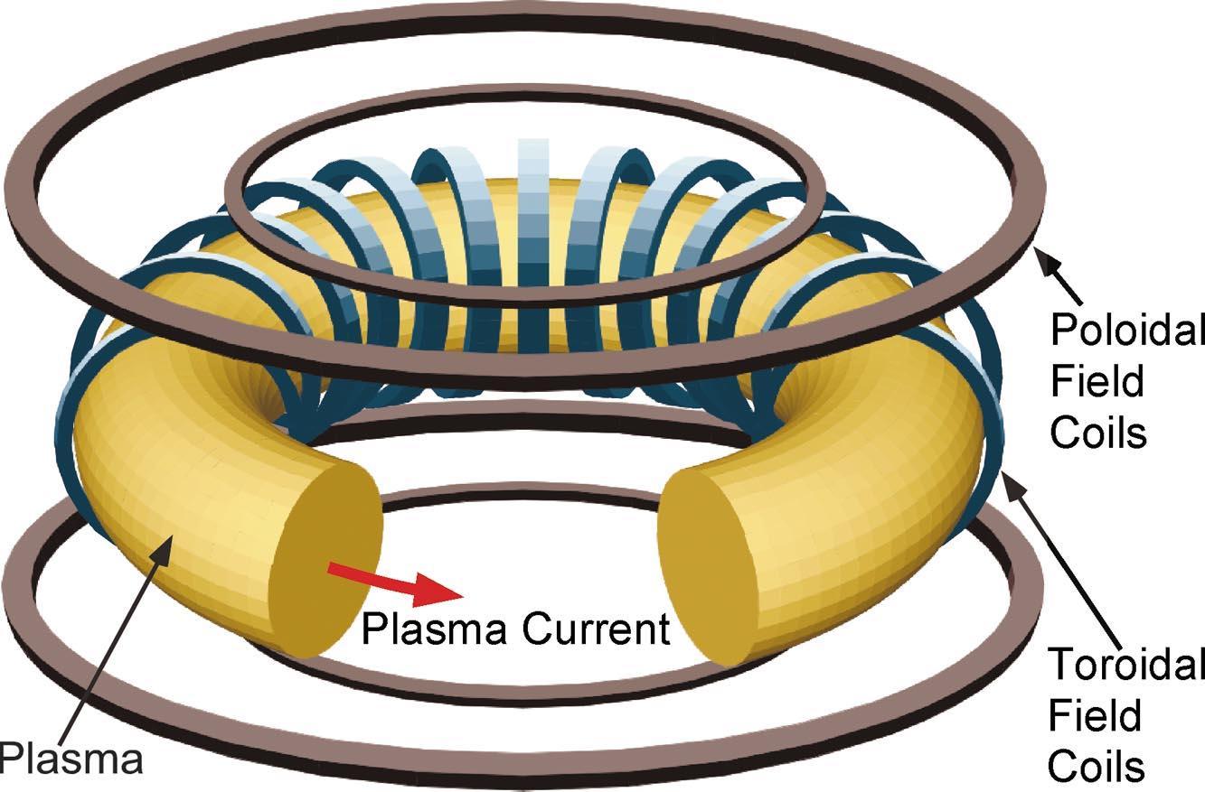构建这种紧凑型托卡马克的关键在于开发世界上最强大的超导磁体.