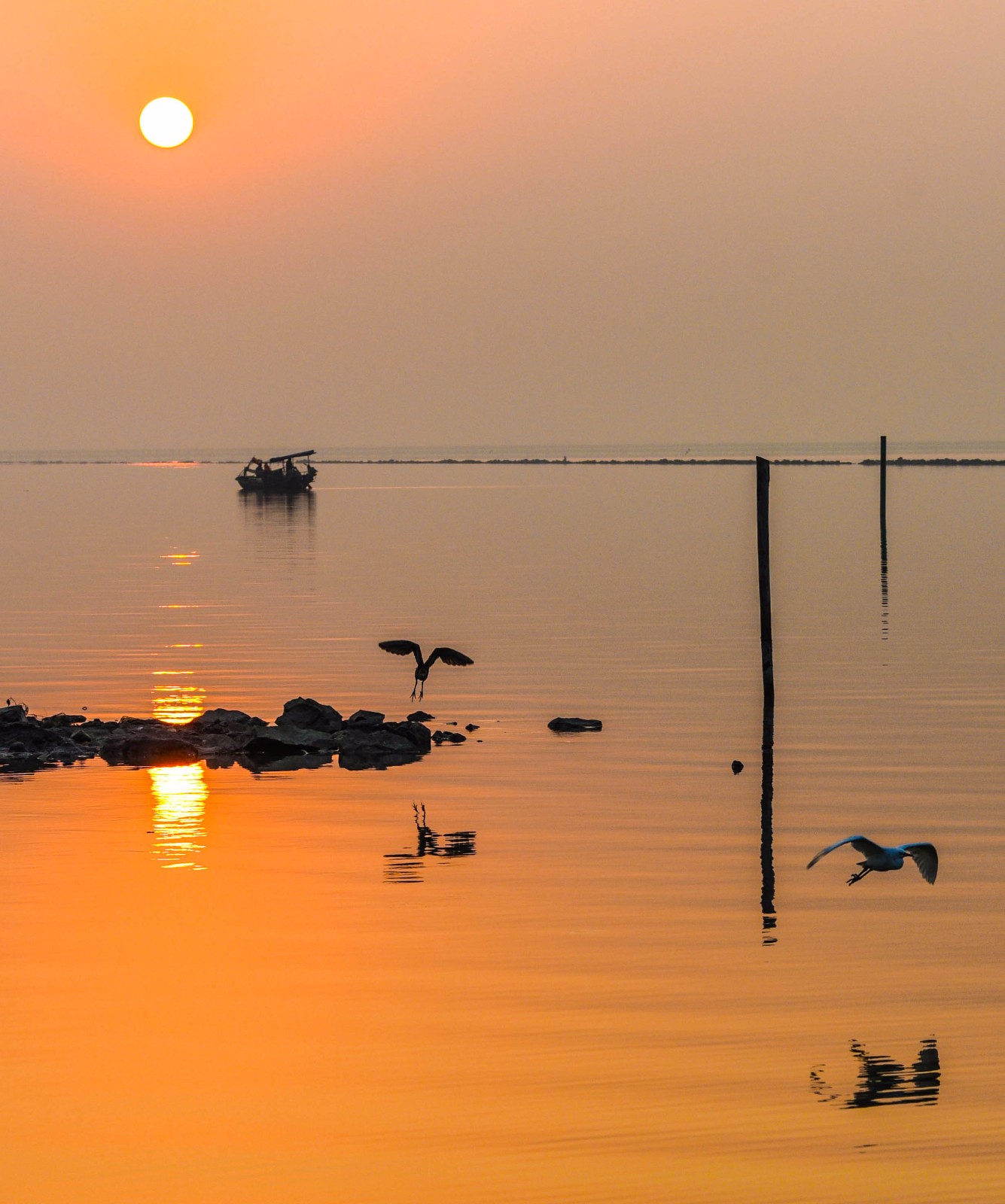 太湖晨曦,白鹭飞