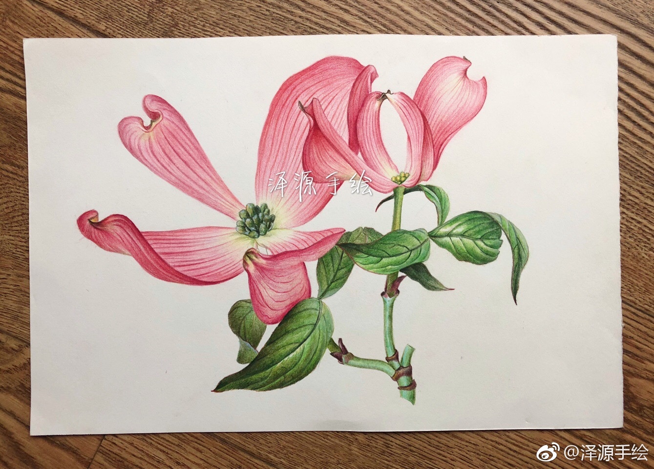 茱萸花,富贵吉祥,驱邪逐恶.