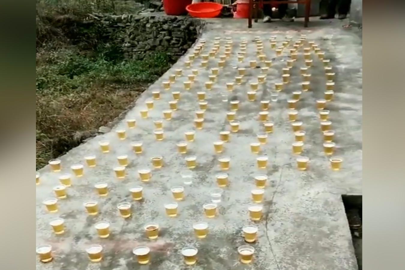 新郎官接亲的拦门酒,这阵势是要把新郎伴郎们都喝趴下啊!