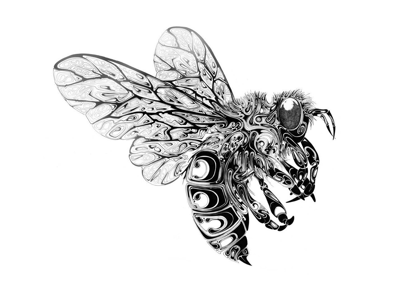 唯美流动感的动物插画 | 英国平面设计师,插画师 si scott 作品 67