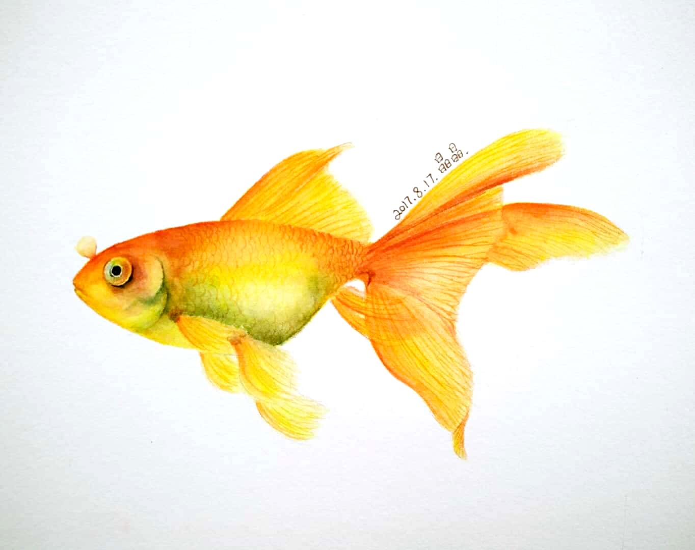 百绘成触绘画群主题团练第24期鱼