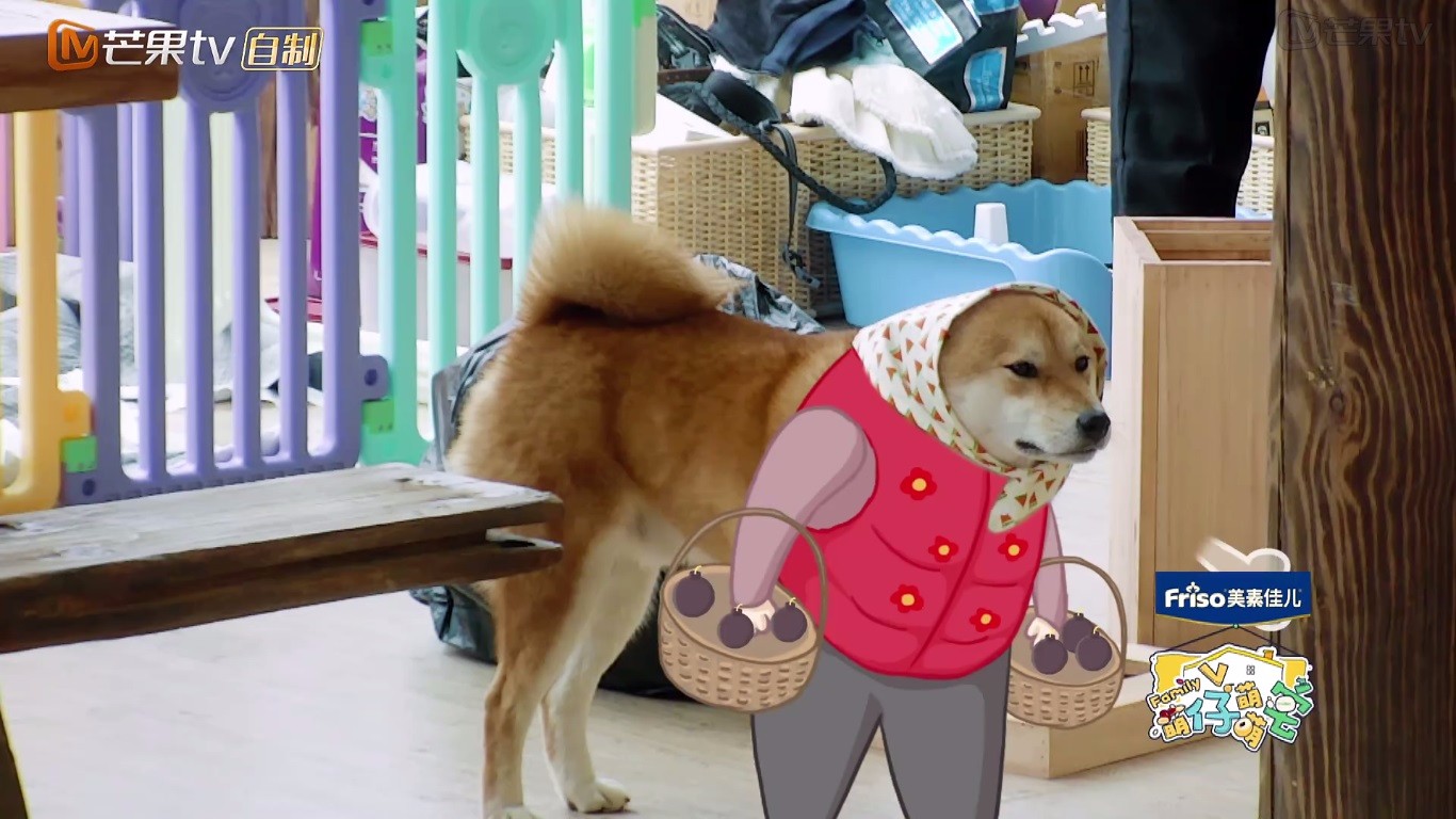 八戒穿蓬蓬裙不忍直视,哥哥带方巾秒变"偷地雷"造型