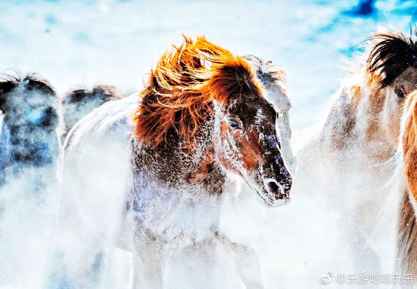 套马的汉子你威武雄壮 飞驰的骏马像疾风一样 一望无际的原野随你