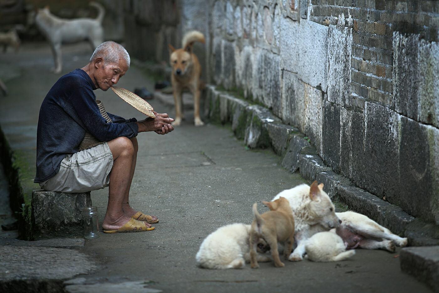 当今社会,人口老龄化越来越严重,农村老人拿什么来养老?