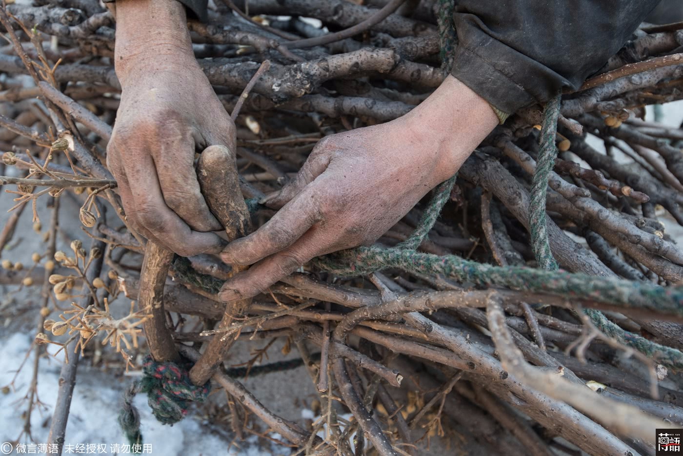 8旬老人不住新房住老屋,雪中捡柴只为陪着家中两头猪