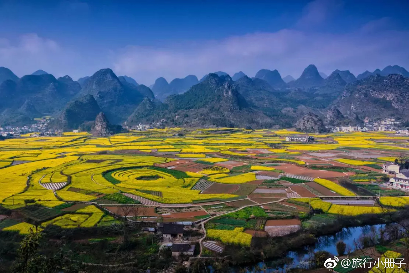 每逢年初油菜花就如同一只金黄的候鸟渐次由南向北略过神州大地