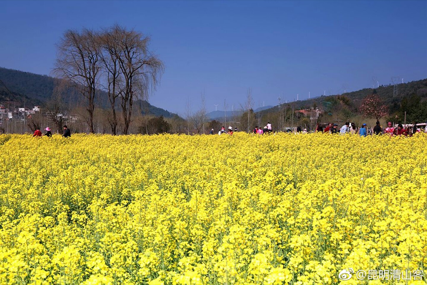 昆明金色螳螂川旅游区图片