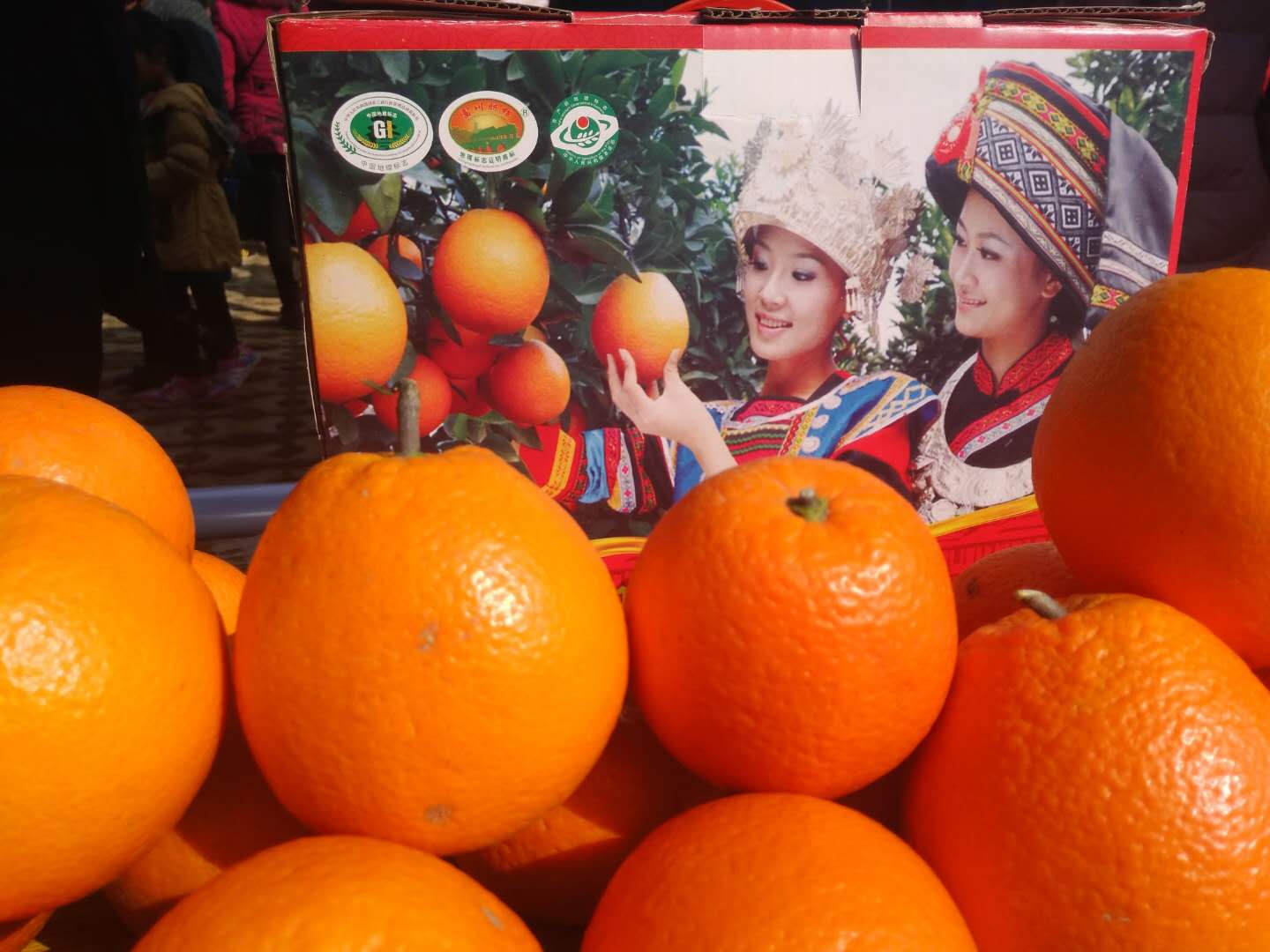 壮乡风情满边关,生态夏石展风采