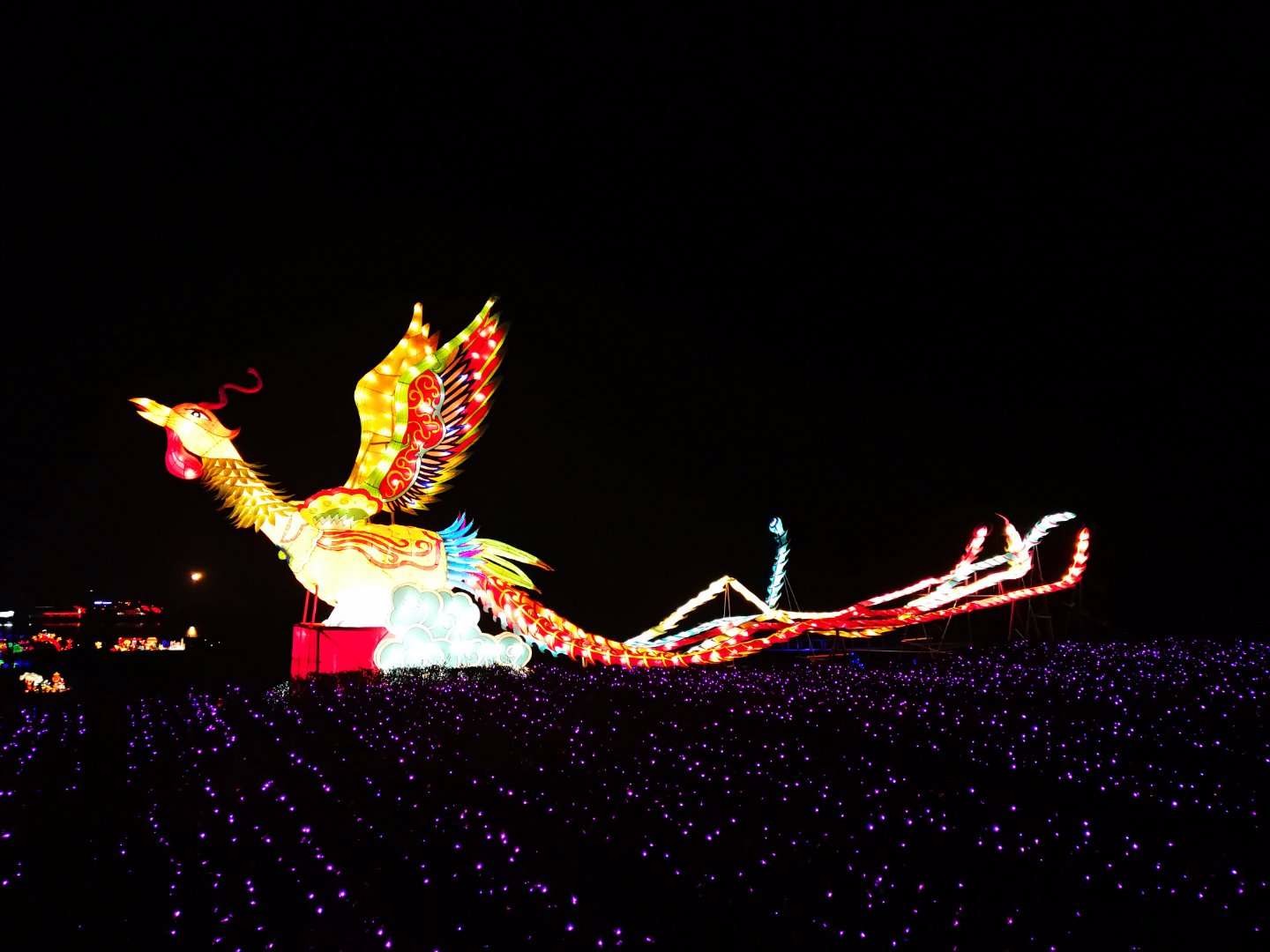 老乐山初一灯会10万人齐聚大马路变停车场 来过的没来的都后悔了_新浪