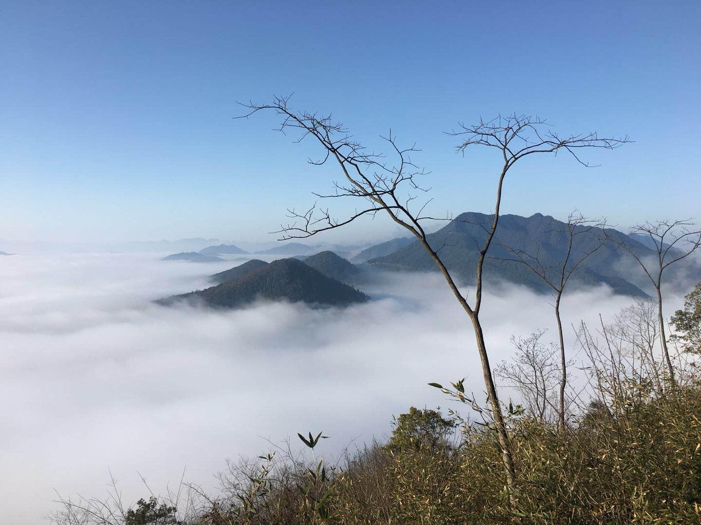 富阳这壮观的云海美景你见过没?