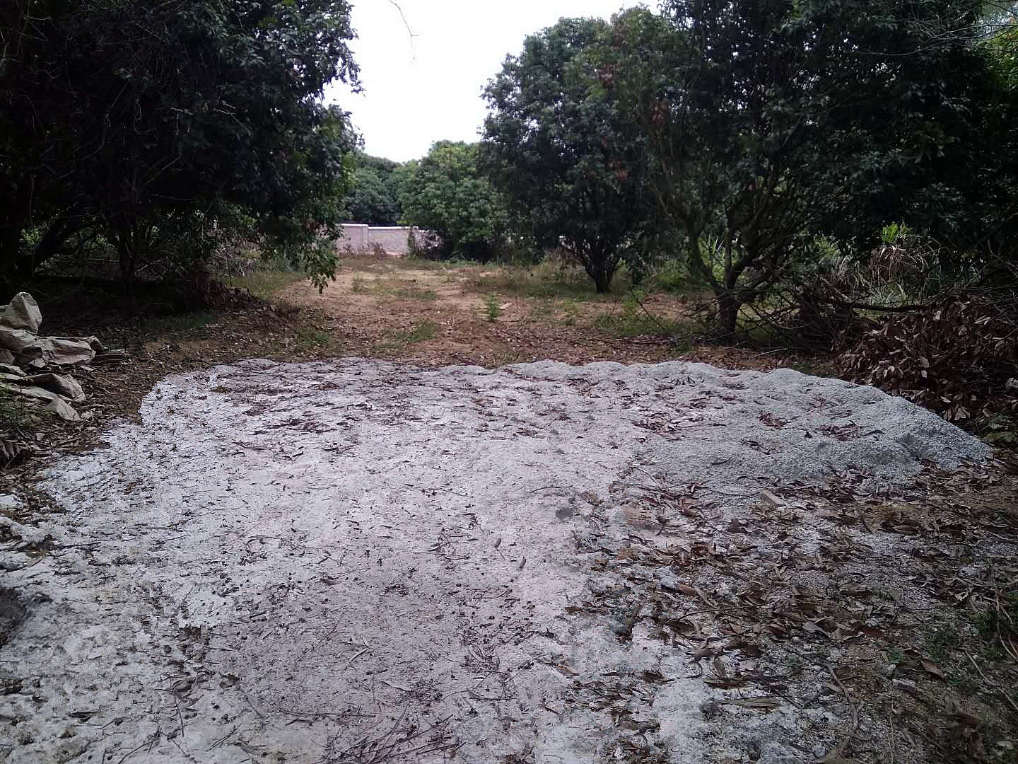 农村宅基地不能被继承,父母去世宅基地将被收