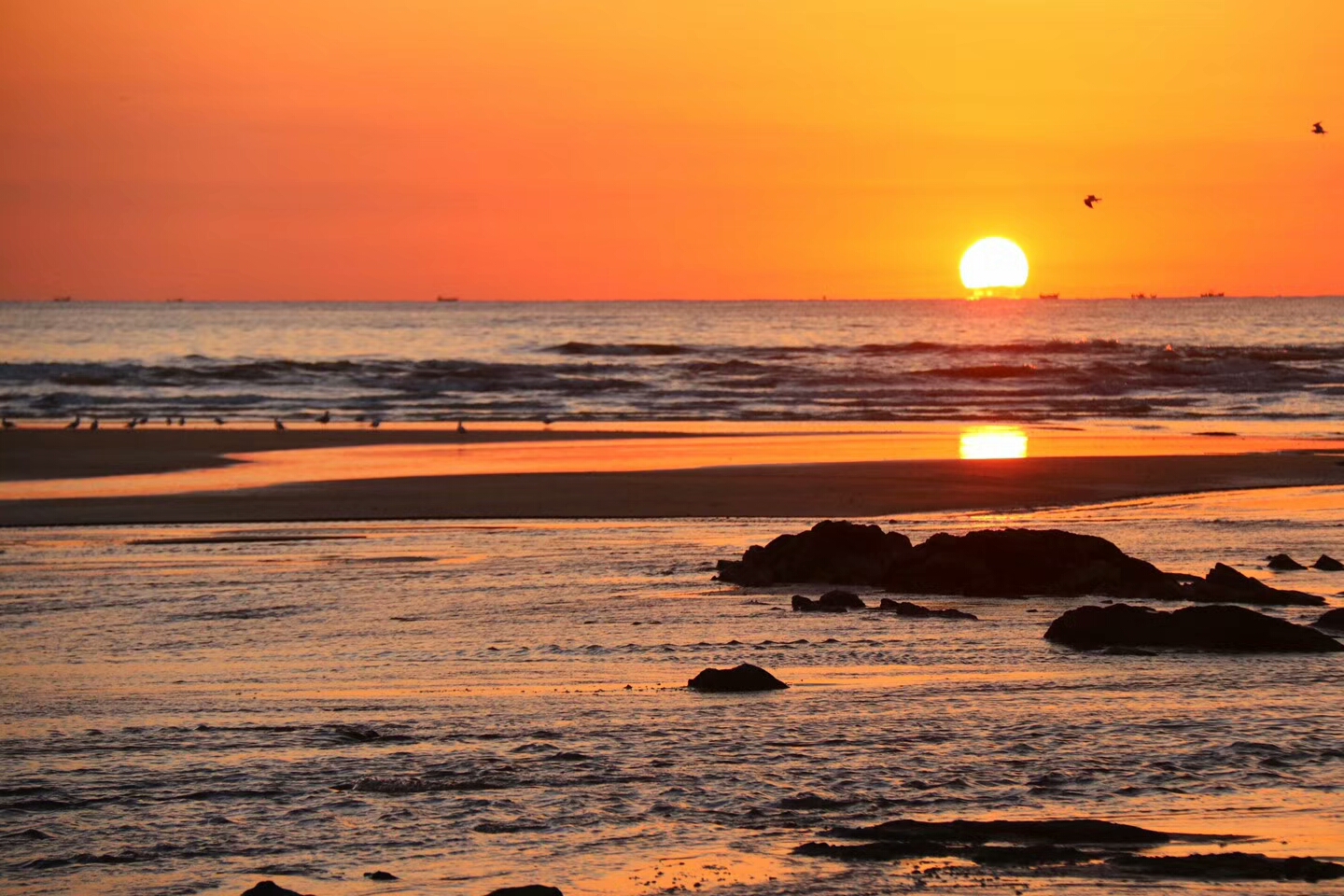 日出先照旭日东升魅力日照好客山东