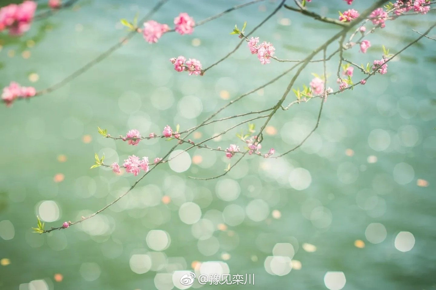 盼望着,盼望着东风来了春天的脚步近了