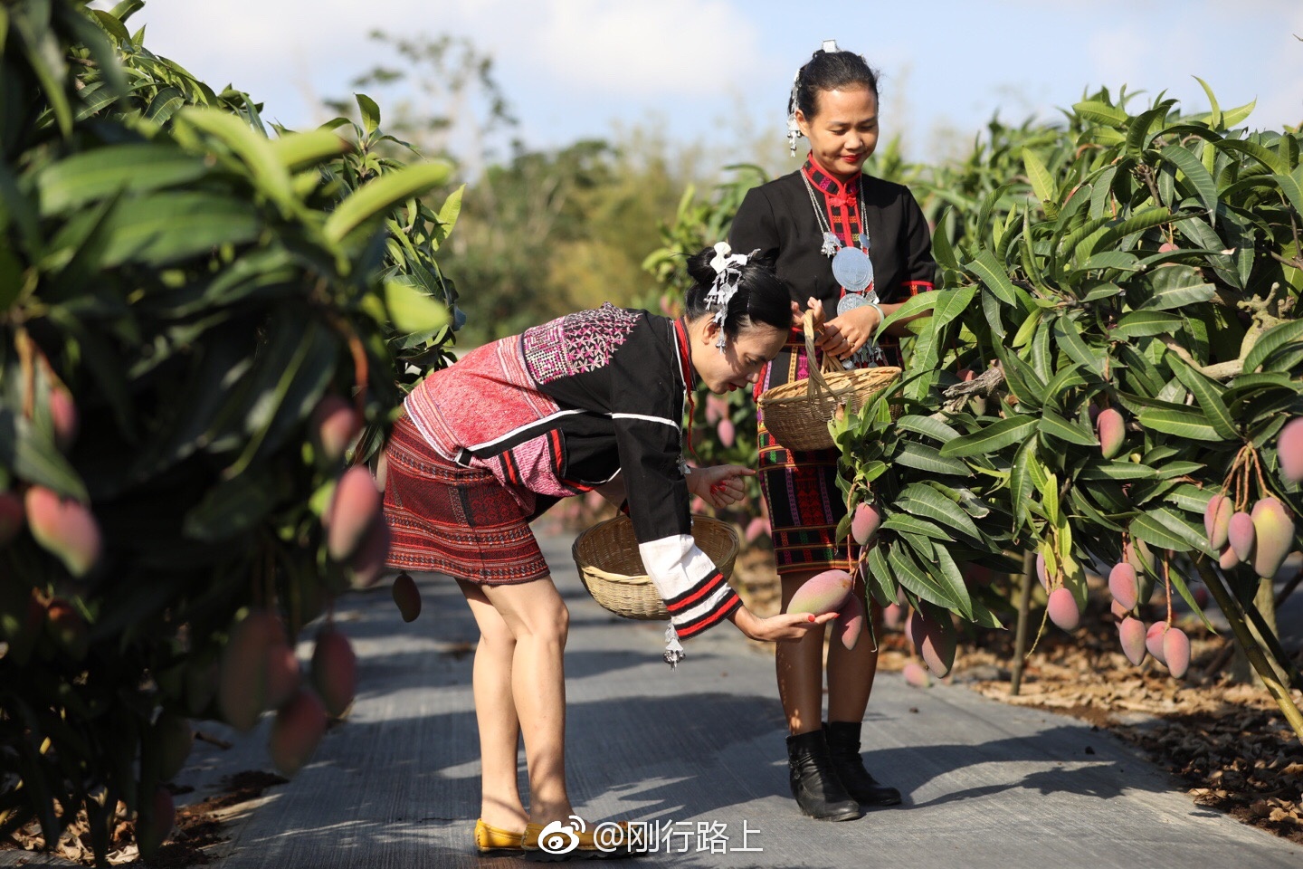 自古以来在海南岛上的黎族妇女精于纺织染布刺绣等