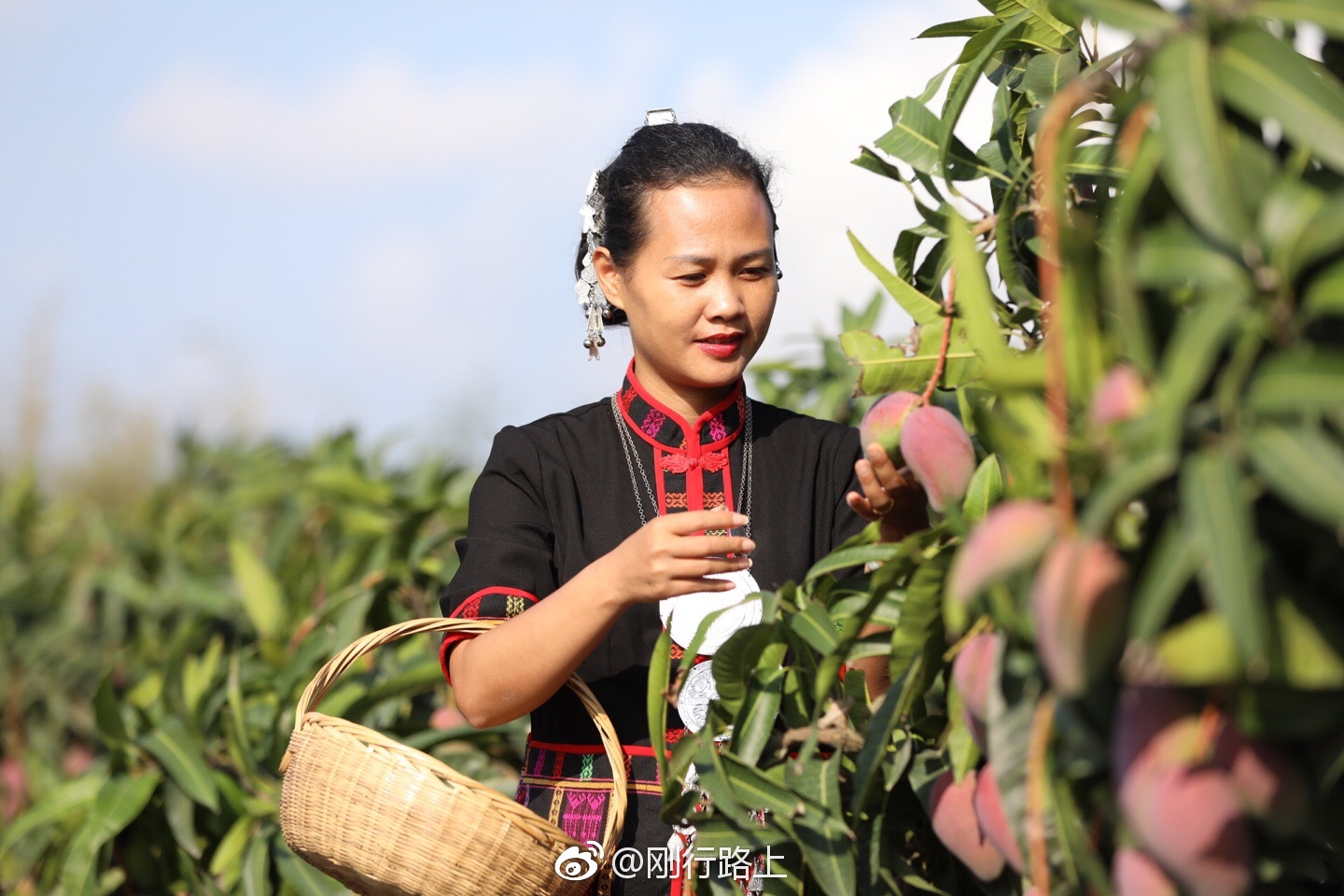 自古以来在海南岛上的黎族妇女精于纺织,染布,刺绣等