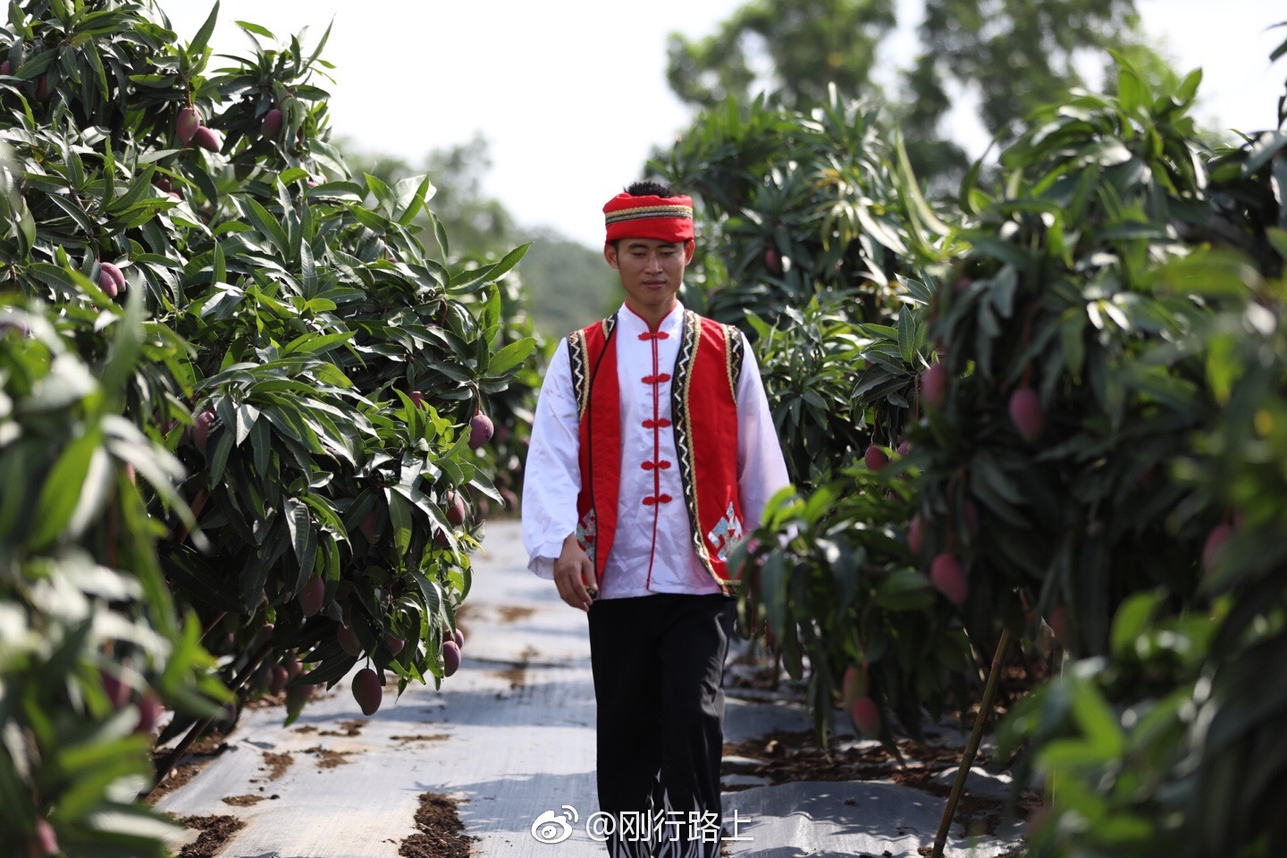 黎族服饰经历了一个漫长的发展和演变过程|黎族|对襟|头巾_新浪新闻