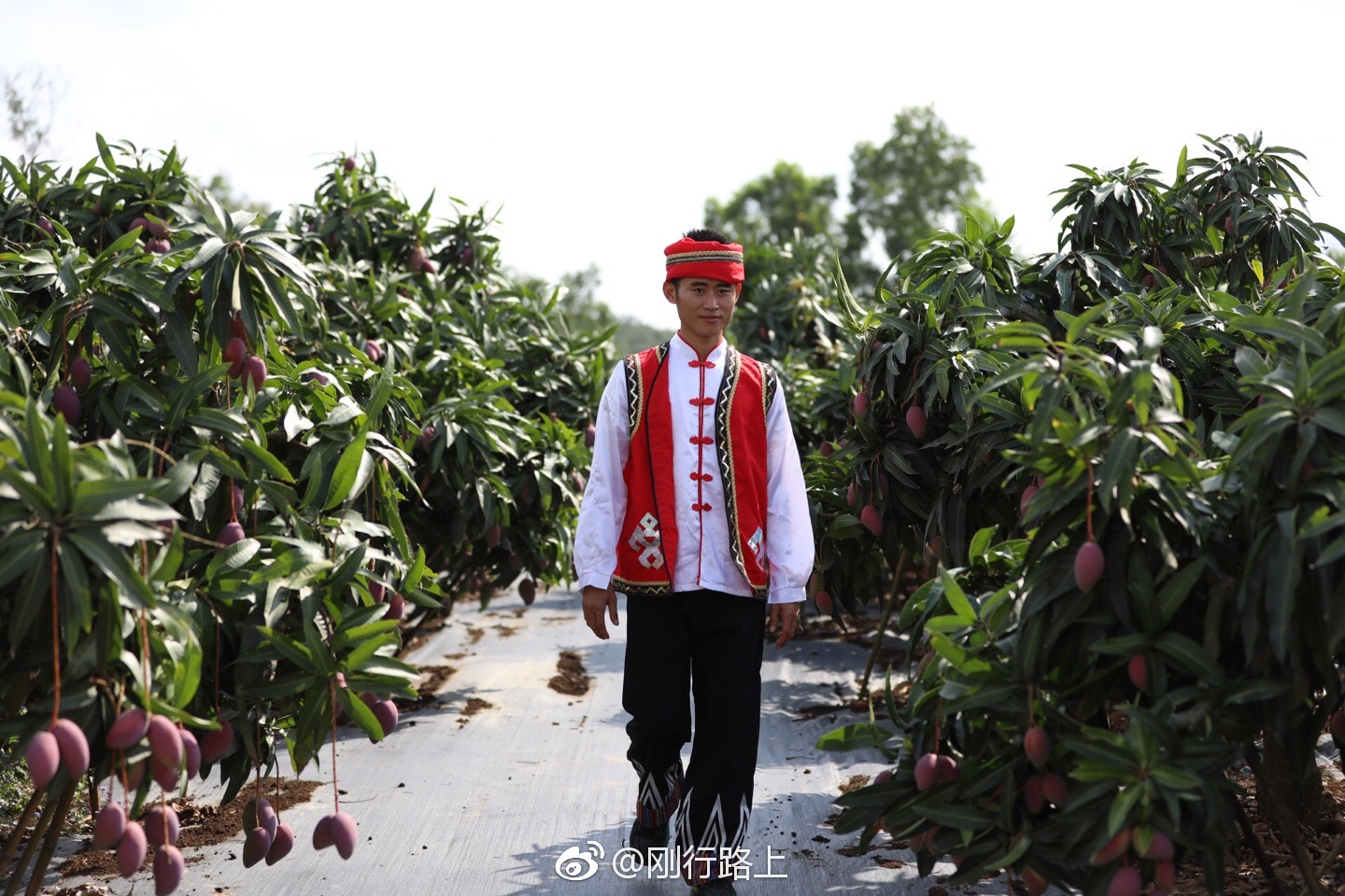 过程,体现了时代进步的必然趋势,黎族男子一般穿对襟无领的上衣和长裤