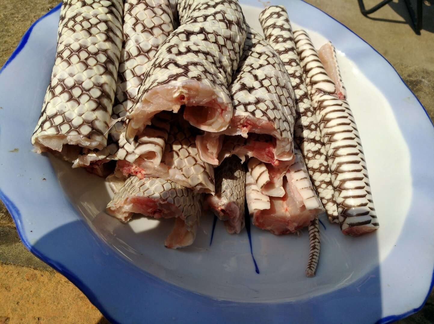 蛇宴的做法(蛇的菜品做法)