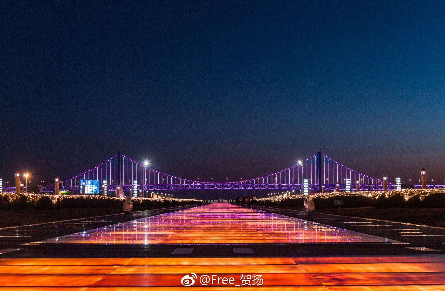 震撼新夜景,大连星海广场现"冰湖璀璨麦田"