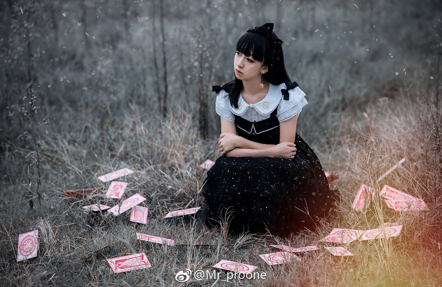 送本组预设摄影&后期@mr_proone 出镜@零零柒小染君 小萌新抄送师父