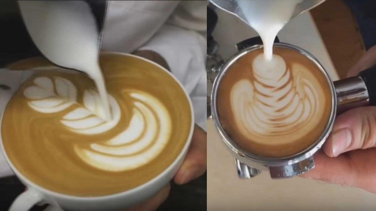 3d拉花:一只可爱的大胖熊