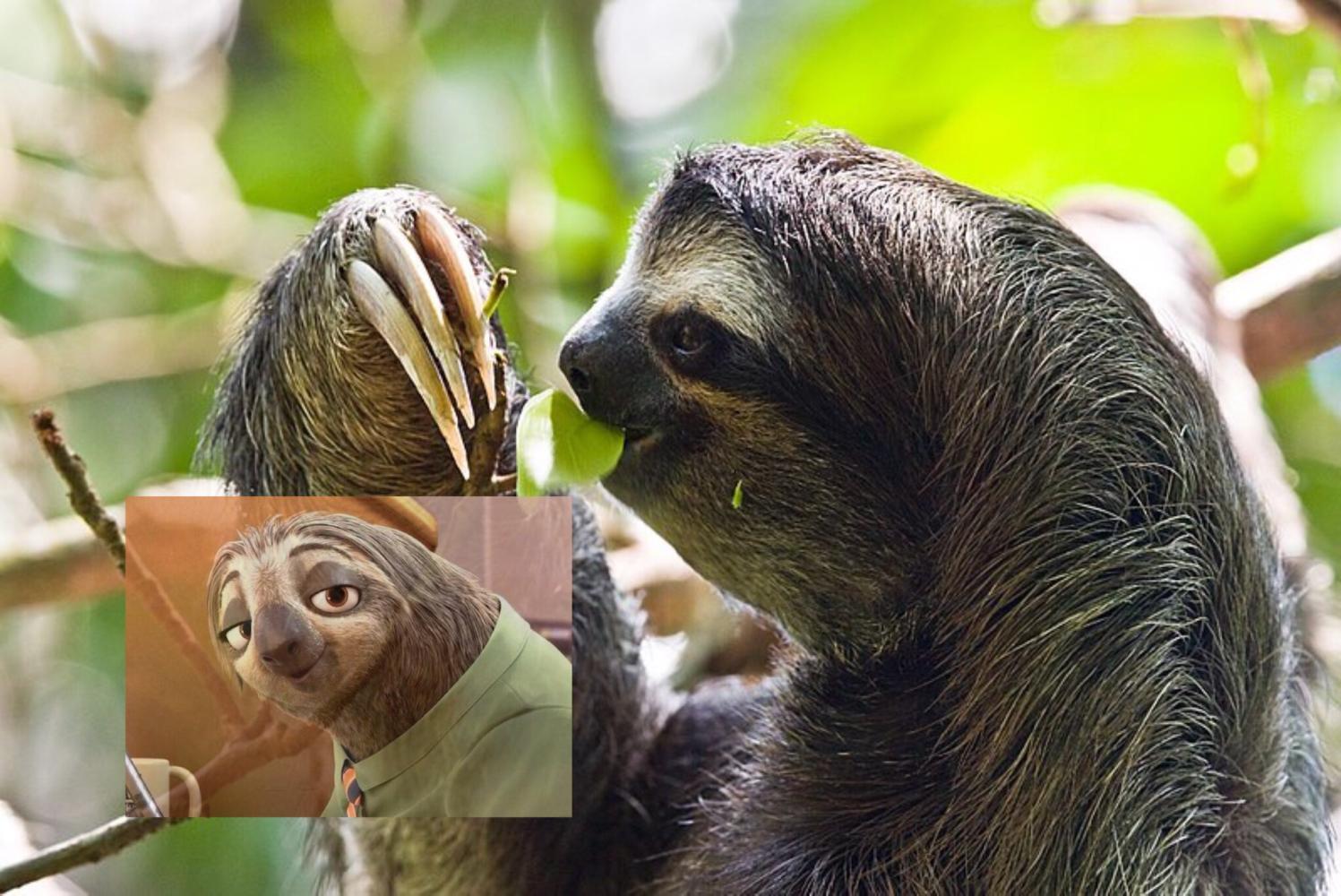 中国人至少有1%尼安德特人基因,他们长啥样?